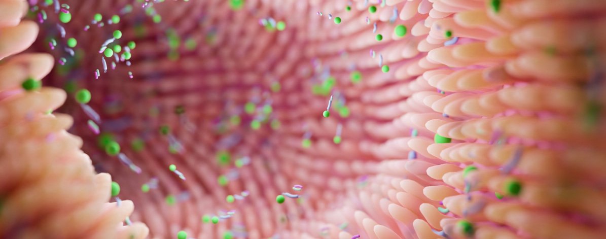 La importancia de tener una buena microbiota intestinal