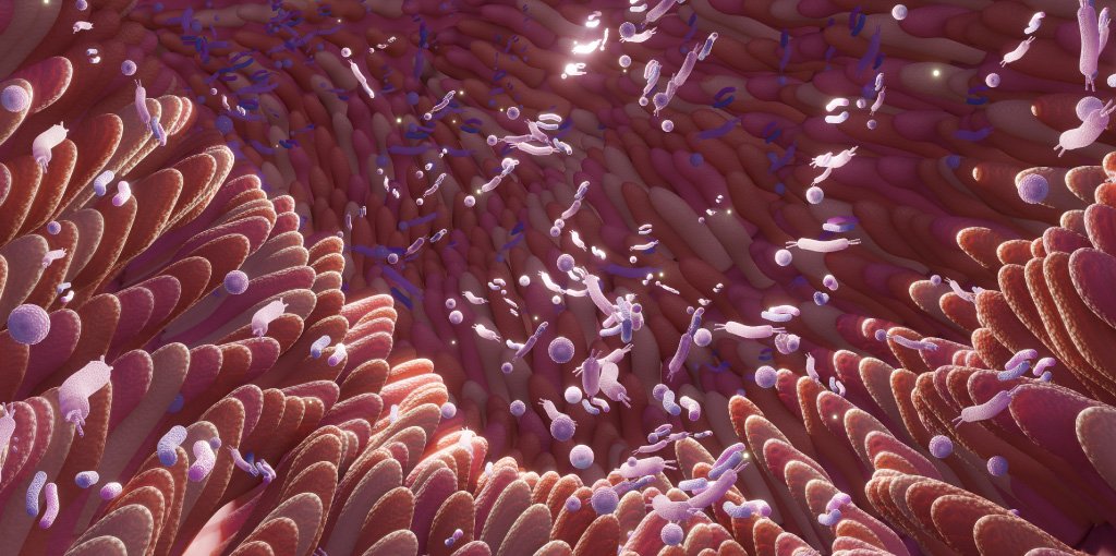Dieta y nutrición en síndrome del intestino permeable (leaky gut)