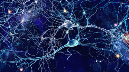 Suplementación efectiva en neuroinflamación
